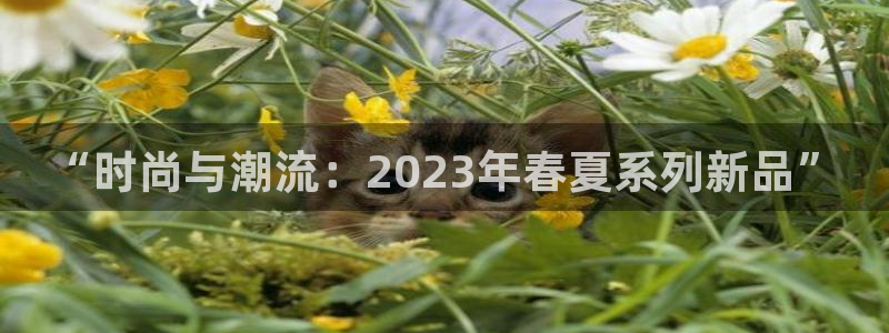 “时尚与潮流：2023年春夏系列新品”