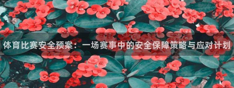 体育比赛安全预案：一场赛事中的安全保障策略与应对计划