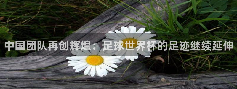 中国团队再创辉煌：足球世界杯的足迹继续延伸
