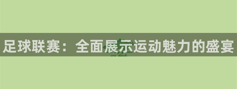 足球联赛：全面展示运动魅力的盛宴